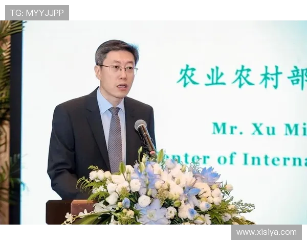 皇冠数字站：全面解析数字站点建设的最新技术与发展趋势