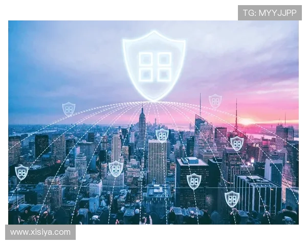 皇冠app官方官网入口官方入口安全保障措施，保障用户信息安全的详细说明