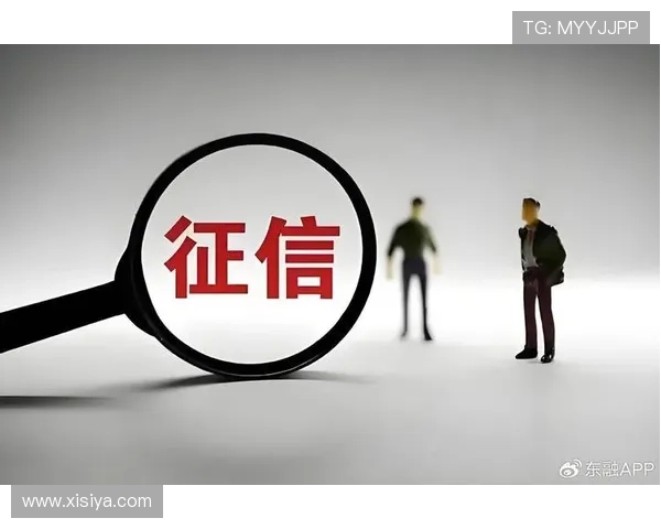 如何通过皇冠信用网快速查询个人信用报告确保财务信息的安全与准确