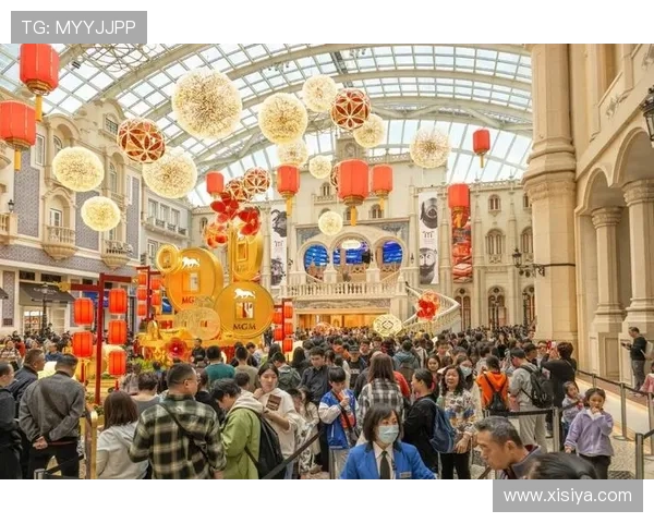 澳门美高梅app登录流程详解及常见问题解决方案全攻略